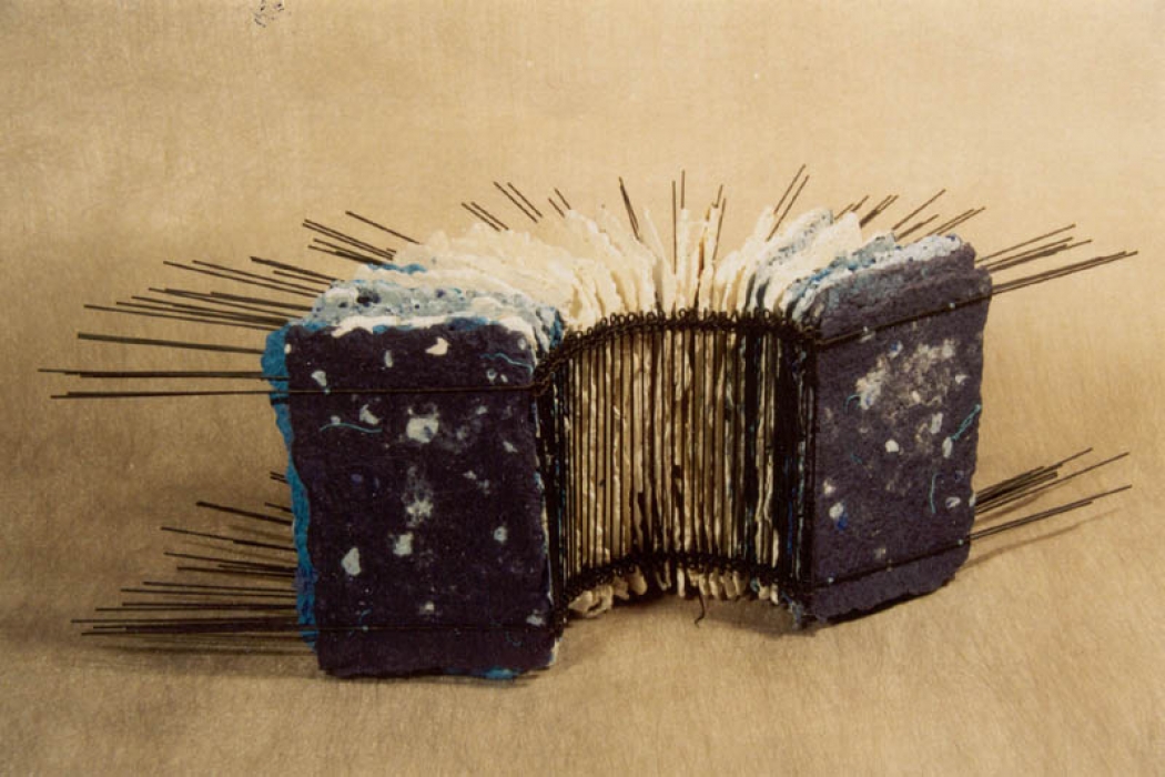 https://www.evekask.com/files/gimgs/th-16_Copy of 1996-97_EVE_KASK_LENNART_MAND_MOONBOOK.jpg