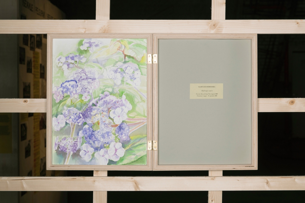 https://www.evekask.com/files/gimgs/th-33_16_Karvane_hortensia.jpg