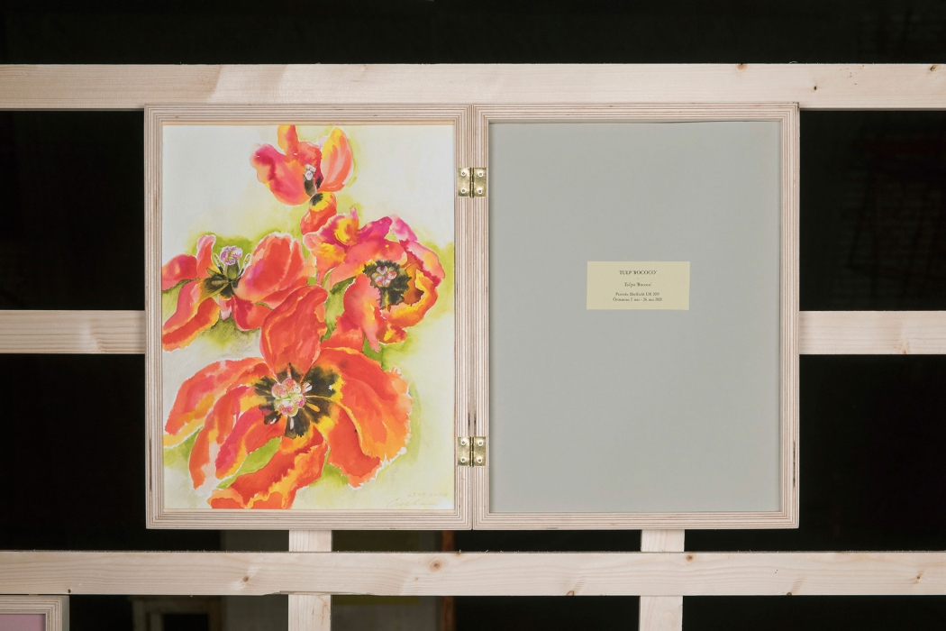 https://www.evekask.com/files/gimgs/th-33_04_Tulp_Rococo.jpg